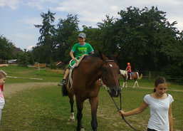 koně 5