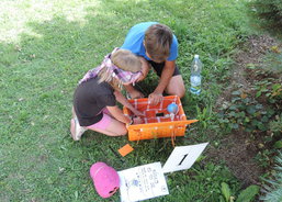 DSCN9268