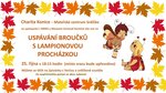 Broučci 24 - pracovní